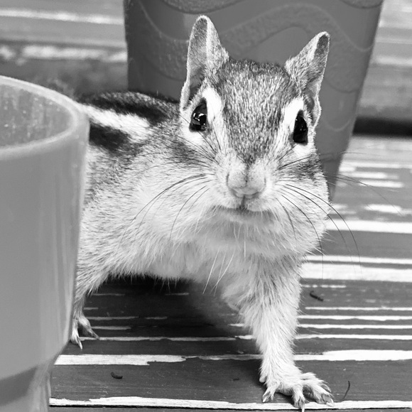 Meet Diana - Hunter & Gatherer of Retro Jewelry, Fashion & Decor - Picture 4 of 6